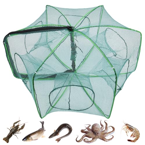 TUZHE Köderfischreuse Aalreuse Reuse für Fischfang Fischreuse Köder Faltbare Fischfalle 6 Löche Krebsreuse
