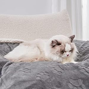 Qeils-Dog-Blankets-for-Small-Dogs-Waterproof-Cat-Blanket-Washable-Sherpa-Fleece-Puppy-Blanket-Soft-Plush-Reversible-Throw-Protector-for-Bed-Couch-Car-Sofa-30X40-Grey - Cucciolini Doodles   Qeils-Dog-Blankets-for-Small-Dogs-Waterproof-Cat-Blanket-Washable-Sherpa-Fleece-Puppy-Blanket-Soft-Plush-Reversible-Throw-Protector-for-Bed-Couch-Car-Sofa-30X40-Grey