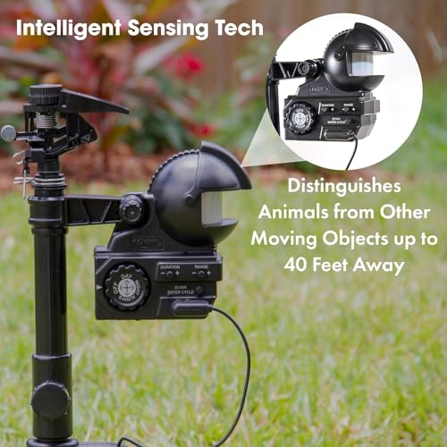 Orbit 62100 Yard Enforcer Motion-Activated Sprinkler thumb #3
