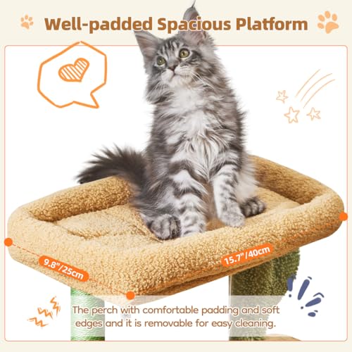 Image of Taoqimiao Cactus, Cat Tree, 38.5In Cat Tower for Indoor Cats, for Kittens | Thick Padded Top Perch, Luxurious Cat Condo, Adjustable Basket, 1-Piece Ramp Scratcher, 3 Natural Sisal Posts, MS029ST