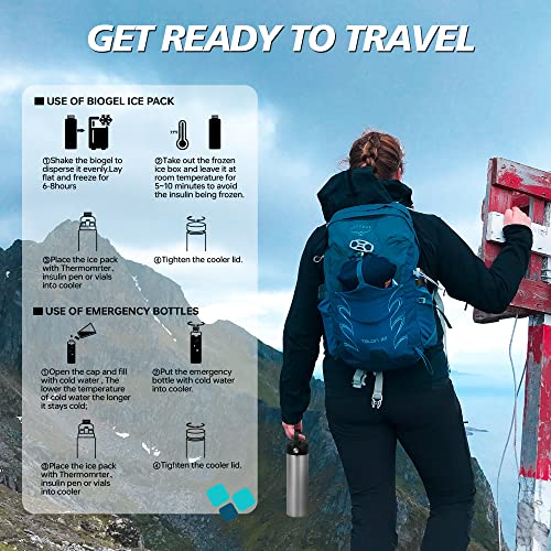 Image of Medineed Insulin Cooler Travel Case TSA Approved, Portable Medication Cooler with Ice Packs, Refrigerated Diabetes Travel Organizer for 1-4 Pens and Diabetic Supplies (Silver)
