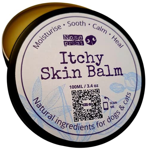 10 Best Eczema Treatment For Dogs September 2023