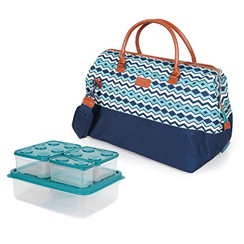 arctic zone insulated picnic satchel