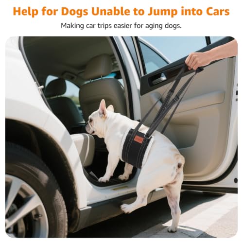 Image of LOOBANI Portable Dog Sling for Small Dogs Hind Leg Support Weak Rear Legs