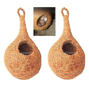 ZENRISE® Set of 2 of Coconut Fiber Birds nest for Pet and Balcony Birds Sparrows Finches breeding (Beige)