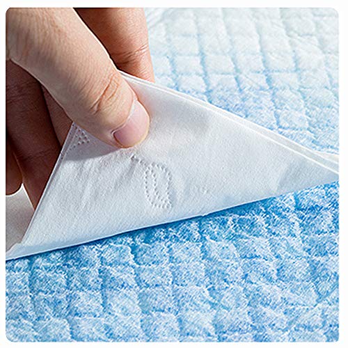 KIHKIH Dog Training Pad Puppy Training Pad Training Pad for Pet Puppy Pads Pet Training Pads Regular 20 Counts-Extra Thickened (Regular (1318), 20 Count)