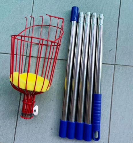 Livmorx Lk `  ʕ `_ t[csbJ[ y ʕn oXPbg |p ʎp _ ʕlJS p (2[g Lk|[i5߁j+ t[csbJ[)