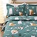 JSD Green Forest Animals Kids Comforter Set Twin Size, 2 Piece Woodland Printed Microfiber Bedding Set, Machine Washable