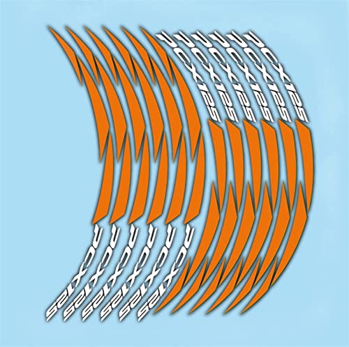 ^CCI[goCXebJ[izC[tBli{[_[˃fJ[ɓKPcx 125 2018-2019