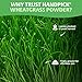HANDPICK USDA Organic Wheatgrass Powder (10oz) Rich Green Powder - Lab Tested | 100% Whole Leaf | Gluten Free, Non-GMO | No Sugar, No Artificial Ingredients | Resealable Ziplock Pouch