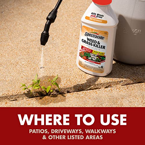 Image of Spectracide Weed And Grass Killer Concentrate 16 Ounces, Use On Patios, Walkways And Driveways, 6 Pack