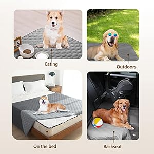   gogobunny-100-Double-Sided-Waterproof-Dog-Bed-Cover-Pet-Blanket-Sofa-Couch-Furniture-Protector-for-Puppy-Large-Dog-Cat-Reversible-30x70-Inch-Pack-of-1-Dark-GreyLight-Grey