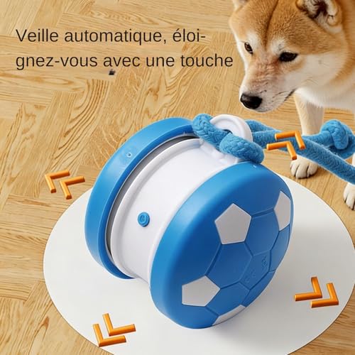 Jouet balle pour chat automatique et interactive avec corde à queue rechargeable