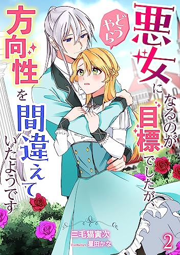 悪女になるのが目標でしたが、どうやら方向性を間違えていたようです(2) (アマゾナイトノベルズ)