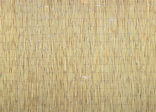 Bamboo Reed Backround Amazon.com : Fmarui 5x3ft Hawaiian Beach Backdrop Bamboo Reeds Aloha ...