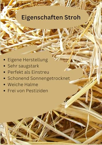 Strohballen 15  kg aus Gerstenstroh – für Kaninchen, Meerschweinchen, Pferde | Premiumqualität | Ernte 2025