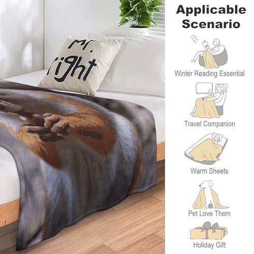Couverture en peluche chaude et légère avec motif écureuil mignon - 8