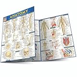 Anatomy (Quickstudy Academic)