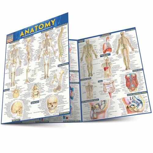 Anatomy: QuickStudy Laminated Reference Guide (Quickstudy Academic)