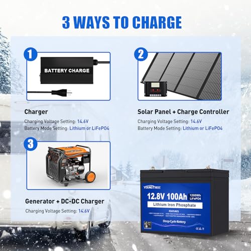 YoungTree 12V 100AH LiFePO4 Lithium Battery with Low Temperature Protection, Deep Cycle Group 24 LiFePO4 Battery Built in 100A Smart BMS, Suit for Trolling Motor, RV and Solar System