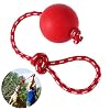 UEETEK Huisdier bal speelgoed met touw voor honden, diameter 7,5 cm, rubberen hond kauwbal voor huisdieren, honden, opleiding, speloefeningen, rood