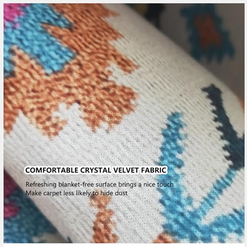 Alfombra de exterior de terciopelo de cristal lavable 3