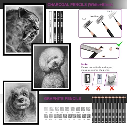 Hiforny HF-SPT58-CB 58 Pcs Drawing Kit Sketching Pencil Set,Sketch Pencils Art Supplies With 3-Color Sketchbook,Graphite,Charcoal,Blending Tools,Drawing Pencils For Adults Artists thumb #4