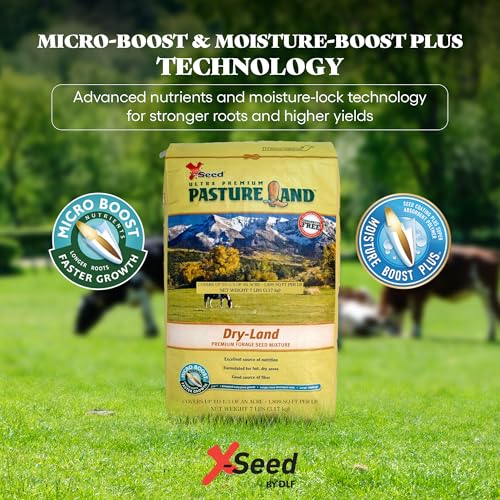 Forage Crop Seed Blends For Cattle Feed Temperate Climates