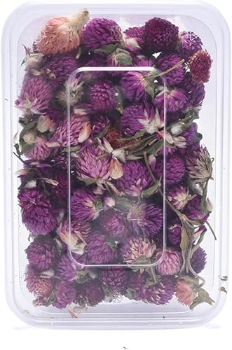 1 caja de flores secas para decoración y manualidades miniatura 1
