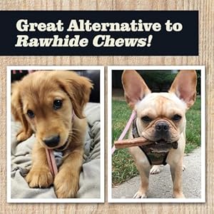Redbarn-All-Natural-4-5-Bully-Sticks-for-Small-Medium-Dogs-Healthy-Long-Lasting-Chews-Variety-Party-Pack-100-Beef-Single-Ingredient-Low-Odor-Rawhide-Free-12oz-Bag-Packaging-May-Vary - Cucciolini Doodles   Redbarn-All-Natural-4-5-Bully-Sticks-for-Small-Medium-Dogs-Healthy-Long-Lasting-Chews-Variety-Party-Pack-100-Beef-Single-Ingredient-Low-Odor-Rawhide-Free-12oz-Bag-Packaging-May-Vary