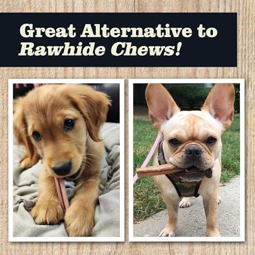 Redbarn-All-Natural-4-5-Bully-Sticks-for-Small-Medium-Dogs-Healthy-Long-Lasting-Chews-Variety-Party-Pack-100-Beef-Single-Ingredient-Low-Odor-Rawhide-Free-12oz-Bag-Packaging-May-Vary - Cucciolini Doodles   Redbarn-All-Natural-4-5-Bully-Sticks-for-Small-Medium-Dogs-Healthy-Long-Lasting-Chews-Variety-Party-Pack-100-Beef-Single-Ingredient-Low-Odor-Rawhide-Free-12oz-Bag-Packaging-May-Vary