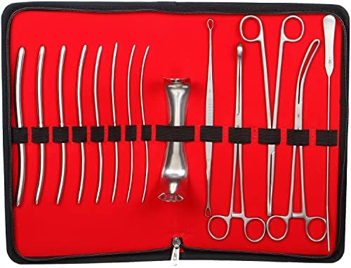 Alis D & C Gynecology Surgical Instruments โ Silver Stainless Steel 410 Grade Procedures Gyne Set with Kit Bag โ Standard Set of 14 instruments
