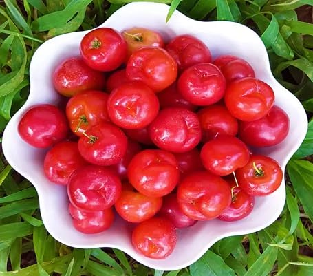 Lubica Achar-Scramberry Pickle Lololikka Pickle ??????? ?????? 200GM Kerala Pickles