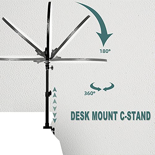 RAUBAY 45,7 cm LED-Ringlicht mit Schreibtischhalterung und Telefonhalter, Selfie Kreis Licht mit Ständer, C-Klemme für… – Bild 5