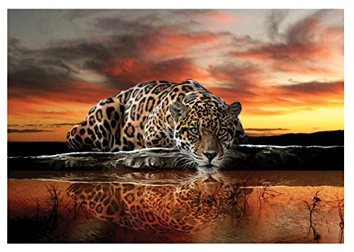 Forwall - Vlies Fototapete Leopard Tiere Tier Afrika Safari Orange 312x219...