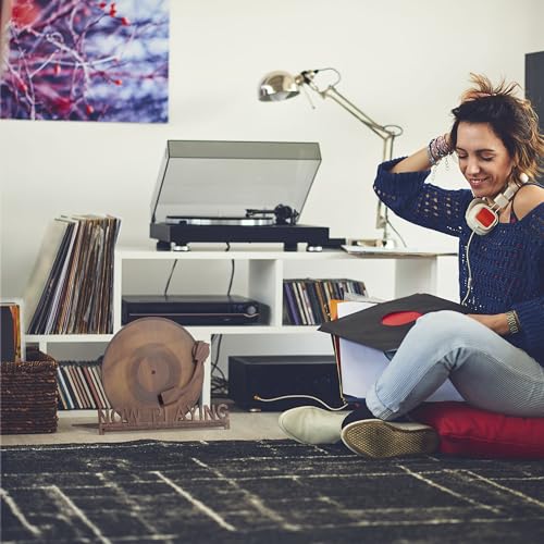 image for Heather & Willow Now Playing Vinyl Record Holder for Record Player Sta