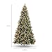 Best Choice Products 4.5ft Pre-Lit Pre-Decorated Pine Artificial Christmas Tree w/ 450 Flocked Frosted Tips, 32 Pinecones, 175 Lights, Base - Green