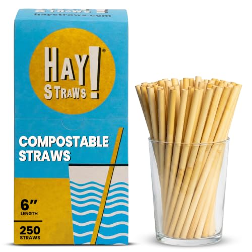 Pitillos desechables HAY! STRAWS, 6 pulgadas, 250 unidades miniatura 1