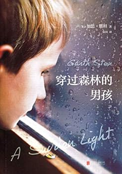 Paperback A Sudden Light (Chinese Edition) [Chinese] Book