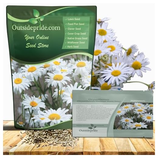 How to take care of your garden in the fall Shasta Daisy Seeds for Wildflower Gardens