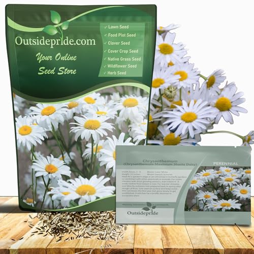 Outsidepride Shasta Daisy Chrysanthemum Seeds - 1/4 Lb. Perennial Deer Proof, Drought Tolerant...