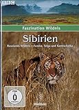  Faszination Wildnis - Sibirien - Russlands Wildnis - Tundra, Taiga und Kamtschatka