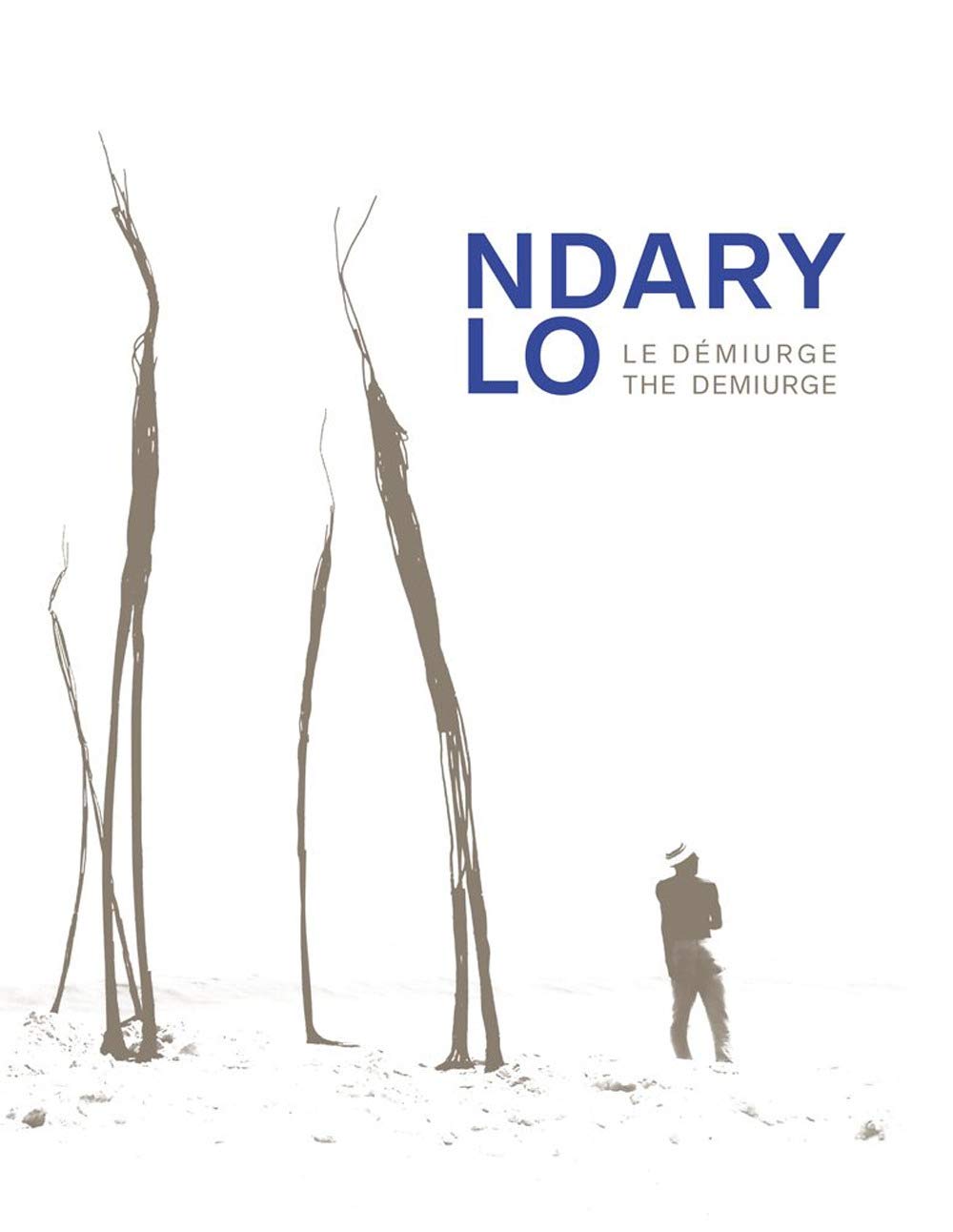 Ndary Lo: Le démiurge pour décorer votre salon et cabinet de lecture