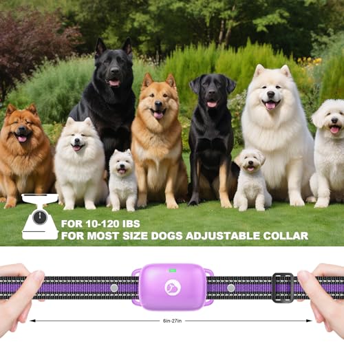 Dog Shock Collar - 2600FT Dog Training Collar with Remote, 3 Modes(Beep/Vibration/Shock), Security Lock, IP68 Waterproof Rechargeable E-Collar for 10-120lbs All Breeds (Purple) - Image 6