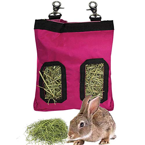 Heu-Futterstation für Kaninchen, Meerschweinchen, Heuraufe mit 2 Öffnungen, klein, 23 x 28 x 2,6 cm Cover