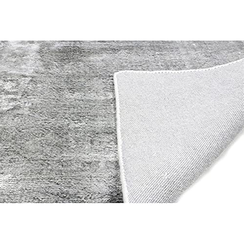 Bashian Radiance Collection Wz Hand Loomed 100% Banana Silk Area Rug 3.9X5.9 Oyster #TOP2
