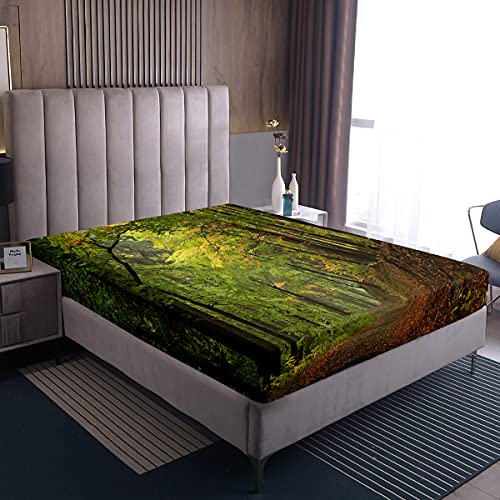 Loussiesd Forest Fitted Sheet Double - Autumn Trees Foggy Print Box Spring Bed Sheet, Lightweight Soft Microfiber Green Scene Print