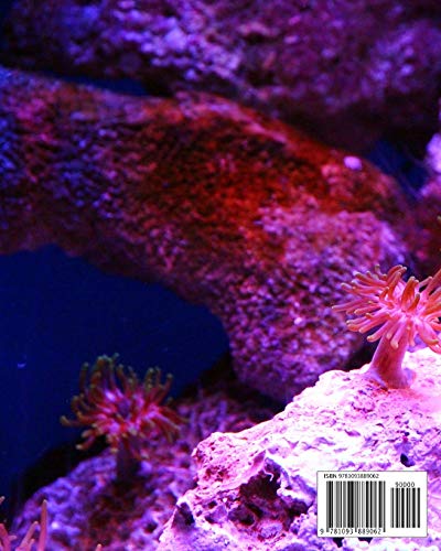 Marine Biology Notes: Biology Lessons Notebook, Biology Study Guide, 8x10 Journal, 120 Blank College Ruled Pages, Biology Student Gift (School Notebooks) - Image 2