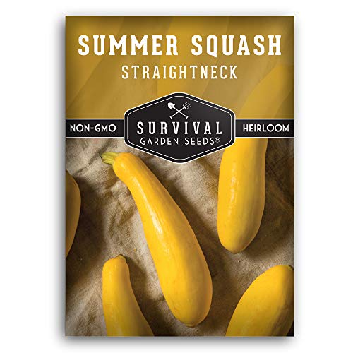 How do you grow yellow squash? Garden Super Power