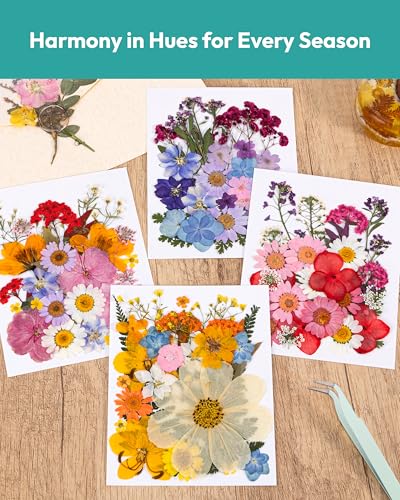 Image of Dried Flowers, Resiners 100Pcs Pressed Flowers for Craft Real Natural Dried Flowers Dry Leaves Kit for DIY Making Crafts Resin Soap Candle Scrapbook Supplies Card Making Jewelry